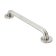 Moen Home Care Series Concealed Screw Grab Bar R8912, R8916 Stainless