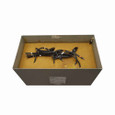 Eaton S20L11B37 General purpose encapsulated transformer, EP, aluminum, NEMA 3R, 300A, 60 Hz, single-phase, 240 V, 480 V, 120/240 V, 2 at -5% FCBN X 4 at -2.5% FCBN, 80 °C rise, 37.5 KVA, indoor-outdoor, 248A