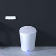 Bemis Bemis S5000E Sanctuary 5000 Smart Toilet Bidet System BEMIS-S5000E 