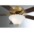 Savoy House Meridian 2018MBKRV 52" 2-Light Ceiling Fan