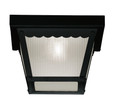 Savoy House Meridian 50058BK 1-Light Outdoor Ceiling Light