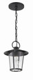 Crystorama AND-9203 Andover 1 Light Outdoor Pendant