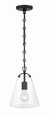 Crystorama Crystorama VSS-7003 Voss 1 Light Mini Pendant CRY-VSS-7003