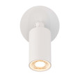 WAC Lighting Cylinder LED Single Adjustable Indoor or Outdoor Wall Light