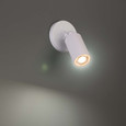 WAC Lighting Cylinder LED Single Adjustable Indoor or Outdoor Wall Light