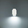 WAC Lighting Cylinder LED Single Up or Down Indoor or Outdoor Wall Light