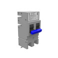 Milbank UQFPH-M-100 100 Ampere 2 Pole 240 Volt Plug-in 22k Ampere Interrupting Capacity Threaded Tang Load Side