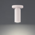 WAC Lighting 2.63" Caliber LED Outdoor Flush Mount