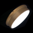 WAC Lighting 8" York LED Flush Mount FM-45008