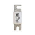 Bussmann 170E3844 Eaton Series High-Speed Square Body Fuse, 63A Class aR