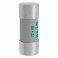 Bussmann C22M125 Eaton series low voltage 22 x 58 mm cylindrical/ferrule fuse, rated at 400 Volts AC, 125 Amps, 120 kA Breaking capacity, class aM, without indicator, compatible with a CH22 Modular fuse holder