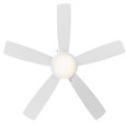 WAC Limited Fans Disc II 5-Blade Pull Chain Ceiling Fan