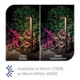 WAC Lighting 23.5" Balance LED 1 Light 12V Path and Area Light