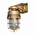 Crouse-Hinds EPP45B Eaton series Pauluhn EP globe and guard, Medium base, 50/60 Hz, Clear tempered glass globe, With cast brass guard, Incandescent, Brass, A-21 max. lamp size, Pendant mount, 30° angled reflector, 250 Vac, 200W
