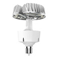 RAB HID-100-EX39-850-BYP-ADJ HID REPLACEMENTS 15000 LUMENS HID 100W BASE EX39 80CRI 5000K BALLAST BYPASS ADJUSTABLE
