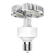 RAB HID-50-EX39-850-BYP-ADJ HID REPLACEMENTS 7500 LUMENS HID 50W BASE EX39 80CRI 5000K BALLAST BYPASS ADJUSTABLE