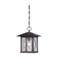 NUVO Lighting NUV-60-5614 Vega - 1 light - Outdoor Hanging Fixture with Clear Seed Glass
