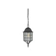 NUVO Lighting NUV-60-4913 Adams - 1 Light - 16 in. - Outdoor Hanging with Frosted Glass