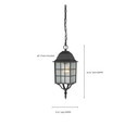 NUVO Lighting NUV-60-4913 Adams - 1 Light - 16 in. - Outdoor Hanging with Frosted Glass