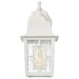 NUVO Lighting 60-4921 Banyan, 1-Light, 12in, Outdoor Wall with Clear Water Glass