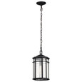 NUVO Lighting NUV-60-5759 Raiden Collection Outdoor 14.5 inch Hanging Light - Matte Black Finish with Clear Seedy Glass