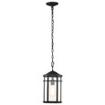 NUVO Lighting NUV-60-5759 Raiden Collection Outdoor 14.5 inch Hanging Light - Matte Black Finish with Clear Seedy Glass