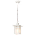 NUVO Lighting NUV-60-4954 Cove Neck - 1 Light - 12 in. - Outdoor Hang with Clear Seed Glass