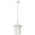 NUVO Lighting 60-4954 Cove Neck, 1-Light, 12in, Outdoor Hang with Clear Seed Glass