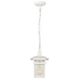 NUVO Lighting 60-4954 Cove Neck, 1-Light, 12in, Outdoor Hang with Clear Seed Glass