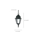 NUVO Lighting NUV-60-489 Briton - 1 Light - 10 in. - Hanging Lantern with Clear Glass