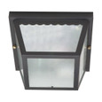 NUVO Lighting NUV-60-473 2 Light - 10 in. - Carport Flush Mount with Textured Frosted Glass