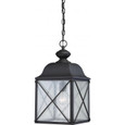 NUVO Lighting NUV-60-5624 Wingate - 1 light - Outdoor Hanging Fixture with Clear Seed Glass
