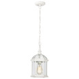 NUVO Lighting NUV-60-4977 Boxwood - 1 Light - 14 in. - Outdoor Hanging with Clear Beveled Glass