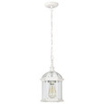 NUVO Lighting 60-4977 Boxwood, 1-Light, 14in, Outdoor Hanging with Clear Beveled Glass
