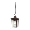 NUVO Lighting NUV-60-4955 Cove Neck - 1 Light - 12 in. - Outdoor Hang with Clear Seed Glass