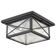 NUVO Lighting 60-5626 Wingate, 2 light, Outdoor Flush Fixture with Clear Seed Glass