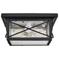 NUVO Lighting NUV-60-5626 Wingate - 2 light - Outdoor Flush Fixture with Clear Seed Glass