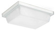 RAB VAN1LED6W CANOPY LIGHTS 872 LUMENS VANLED VANDALPROOF 6W 5K LED CEILING MOUNT 6 INCHES X 8 INCHES