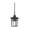 NUVO Lighting NUV-60-4956 Cove Neck - 1 Light - 12 in. - Outdoor Hang with Clear Seed Glass