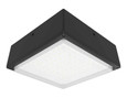 RAB VANLED52YFR/480 CANOPY LIGHTS 6181 LUMENS VANLED 52W 480V FROSTED LENS BRONZE