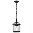 NUVO Lighting 60-4979 Boxwood, 1-Light, 14in, Outdoor Hanging with Clear Beveled Glass