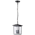 NUVO Lighting NUV-60-5933 Jamesport Collection Outdoor 11 inch Hanging Light - Matte Black with Clear Glass