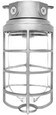 RAB VX200DG VAPORPROOF 200 CEILING 4 INCHES BOX 1/2 INCH WITH GLASS GLOBE CAST GUARD