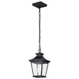 NUVO Lighting 60-5746 Jasper Collection Outdoor 12in Hanging Light, Matte Black Finish with Clear Glass