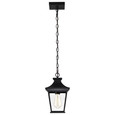 NUVO Lighting 60-5746 Jasper Collection Outdoor 12in Hanging Light, Matte Black Finish with Clear Glass