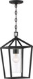 NUVO Lighting 60-6594 Hopewell, 1-Light, Hanging Lantern, Matte Black Finish with Clear Seeded Glass