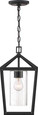 NUVO Lighting 60-6594 Hopewell, 1-Light, Hanging Lantern, Matte Black Finish with Clear Seeded Glass
