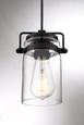 NUVO Lighting 60-6732 Antebellum, 1-Light, Mini Pendant Fixture, Matte Black Finish with Clear Glass