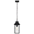 NUVO Lighting NUV-60-5996 Austen Collection Outdoor 17 inch Hanging Light - Matte Black Finish with Clear Water Glass