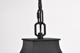 NUVO Lighting NUV-60-5996 Austen Collection Outdoor 17 inch Hanging Light - Matte Black Finish with Clear Water Glass